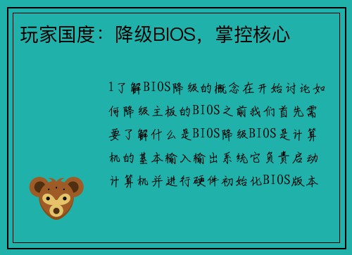 玩家国度：降级BIOS，掌控核心